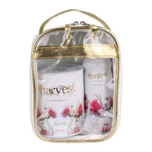 Harvest - Parfum & Deo Set - 100 Ml - Bayan