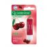 Cherry Lip Protector title=