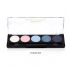 Professional Palette Eyeshadow 101 title=
